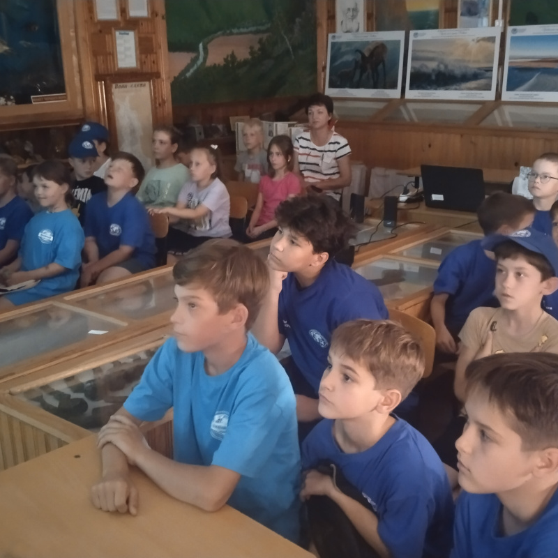 Просмотр фильма