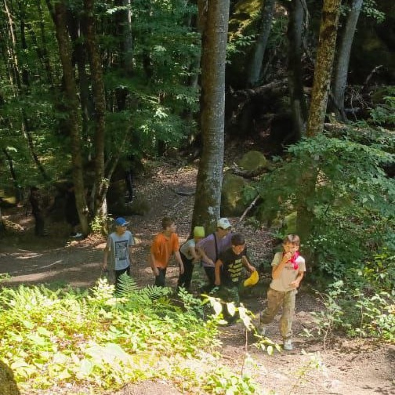 Поход Поход