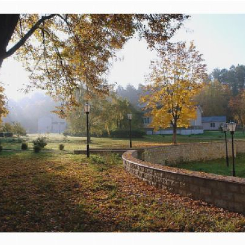 МК РГО Плесково МК РГО Плесково