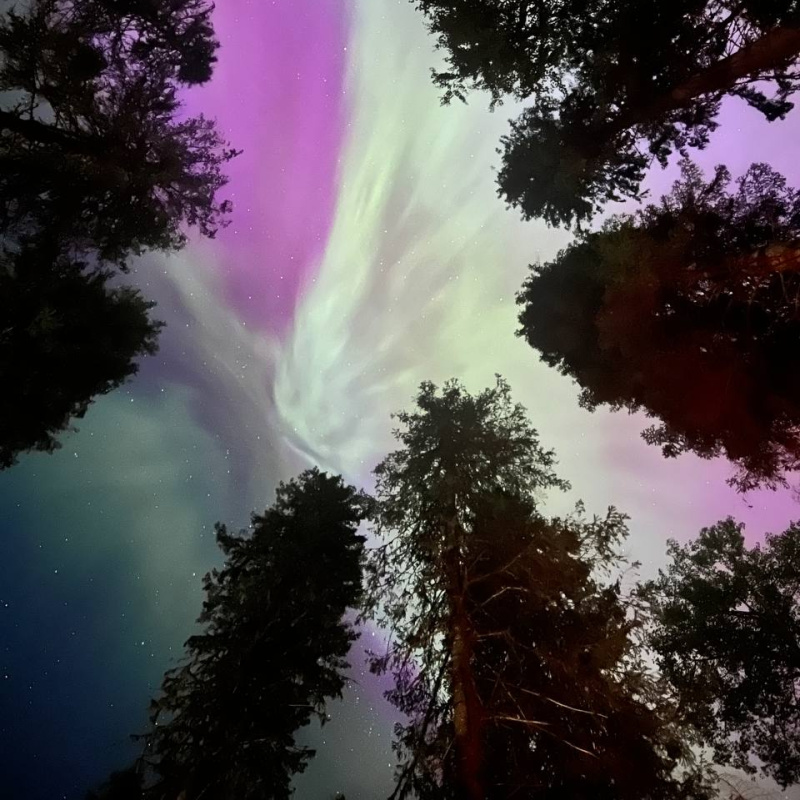 Салман Джумагазиев 