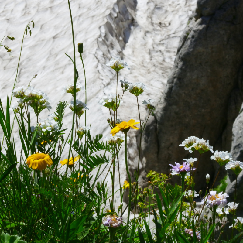 На территории Кавказского биосферного заповедника