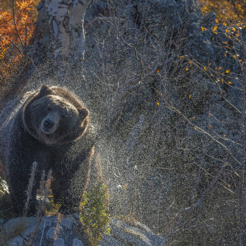 Вадим Елистратов, участник фотоконкурса РГО "Самая красивая страна" Вадим Елистратов, участник фотоконкурса РГО "Самая красивая страна"