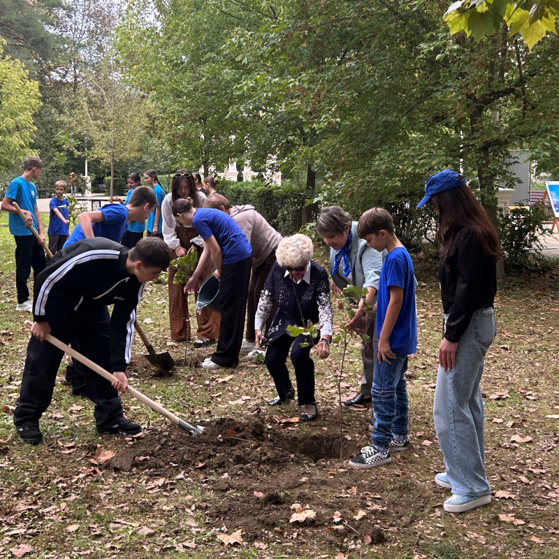 Высадка аллеи