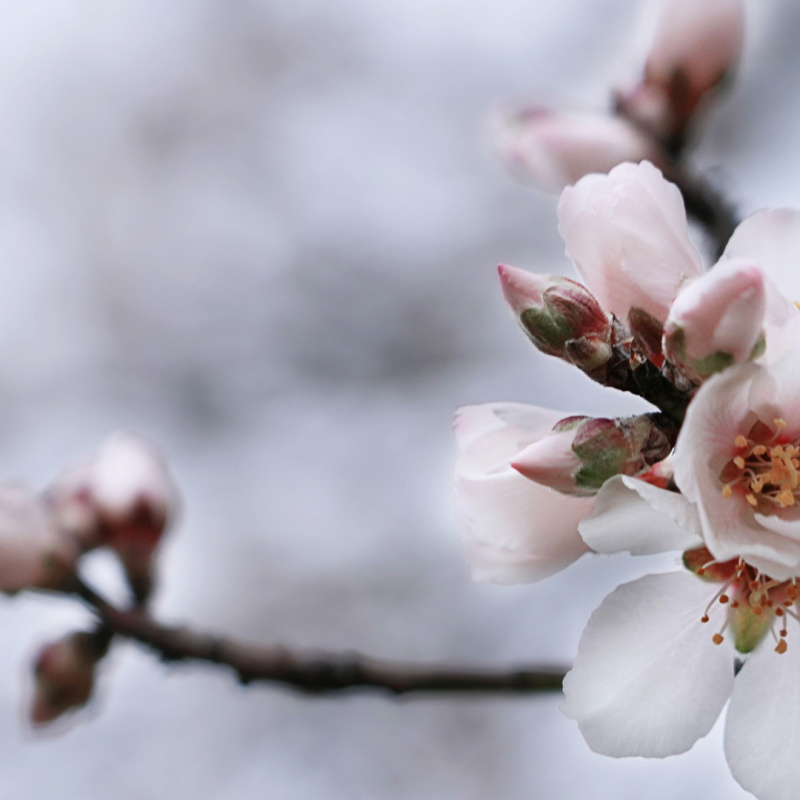 Алина Игошева, участница фотоконкурса РГО "Самая красивая страна"