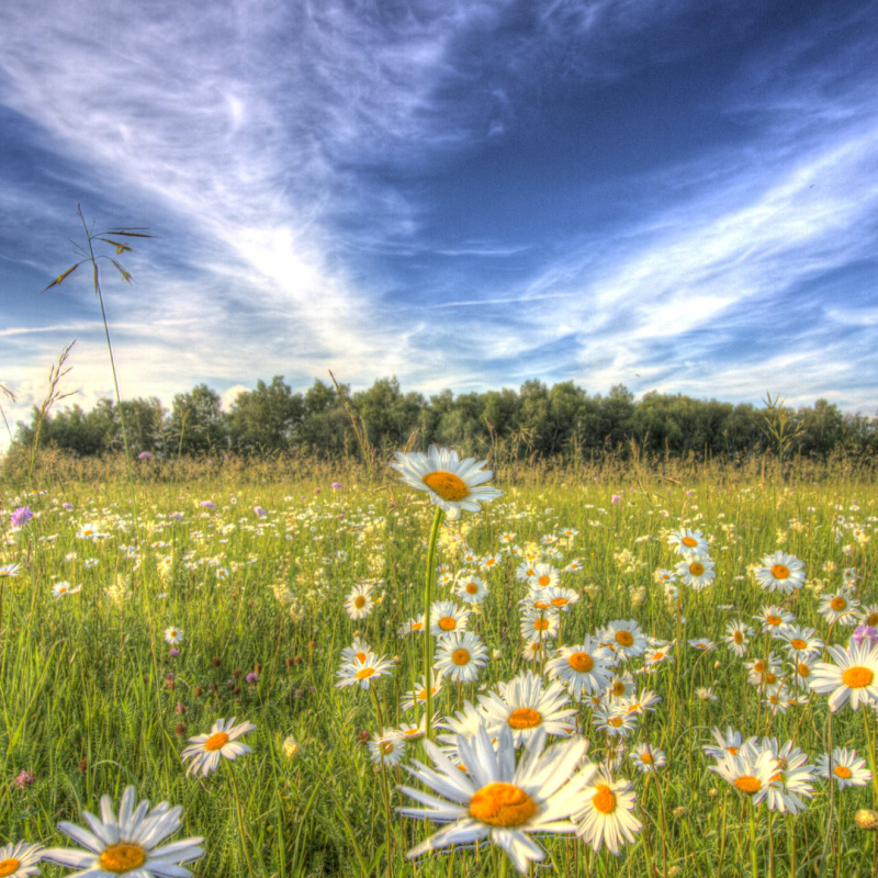 Ярослава Меркулова , участница фотоконкурса РГО "Самая красивая страна"