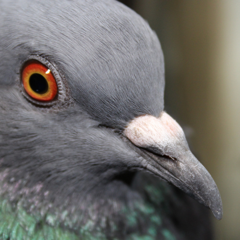 Екатерина Сайлер, участница фотоконкурса РГО "Самая красивая страна" Екатерина Сайлер, участница фотоконкурса РГО "Самая красивая страна"