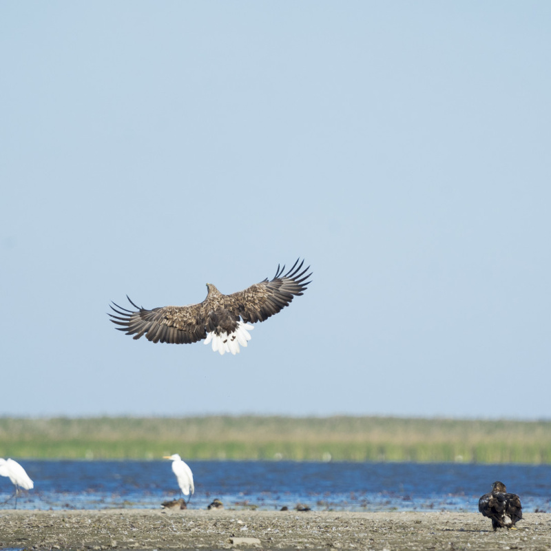 Елена Полякова, участница фотоконкурса "Самая красивая страна"