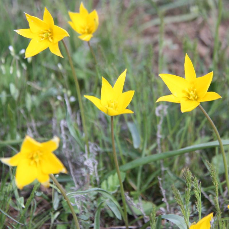 Предоставлено Молодежным клубом РГО г. Волгодонска Предоставлено Молодежным клубом РГО г. Волгодонска