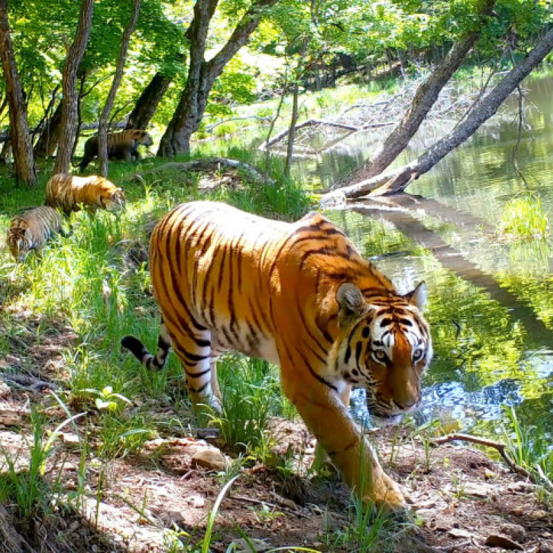 Виктор Сторожук, участник фотоконкурса РГО "Самая красивая страна" Виктор Сторожук, участник фотоконкурса РГО "Самая красивая страна"