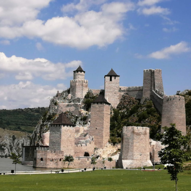 Стажировка в Сербии