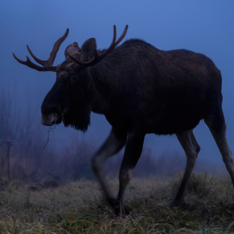 Ирина Соловьева, участница фотоконкурса РГО "Самая красивая страна" Ирина Соловьева, участница фотоконкурса РГО "Самая красивая страна"