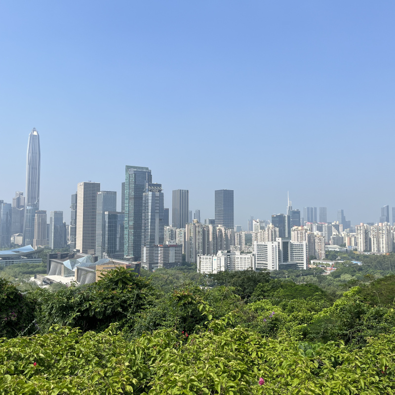 Светлана Воробьева Светлана Воробьева