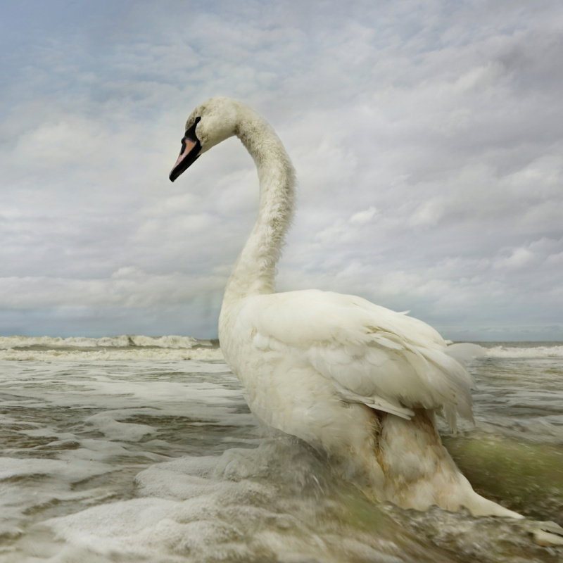 Сергей Тырышкин, участник фотоконкурса РГО "Самая красивая страна" Сергей Тырышкин, участник фотоконкурса РГО "Самая красивая страна"
