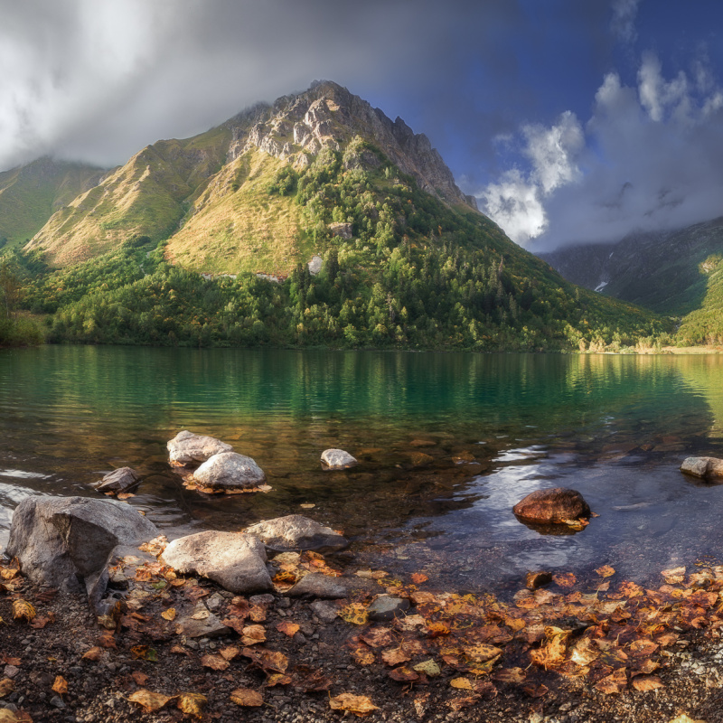 Кавказский заповедник