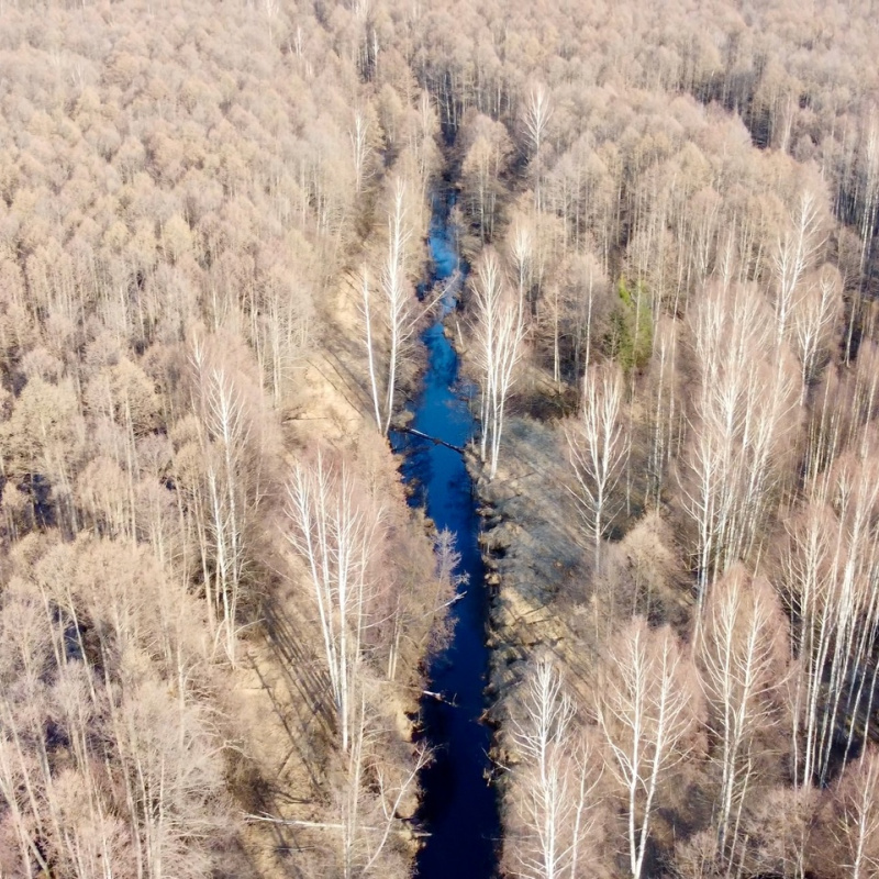 Река Дорогуча