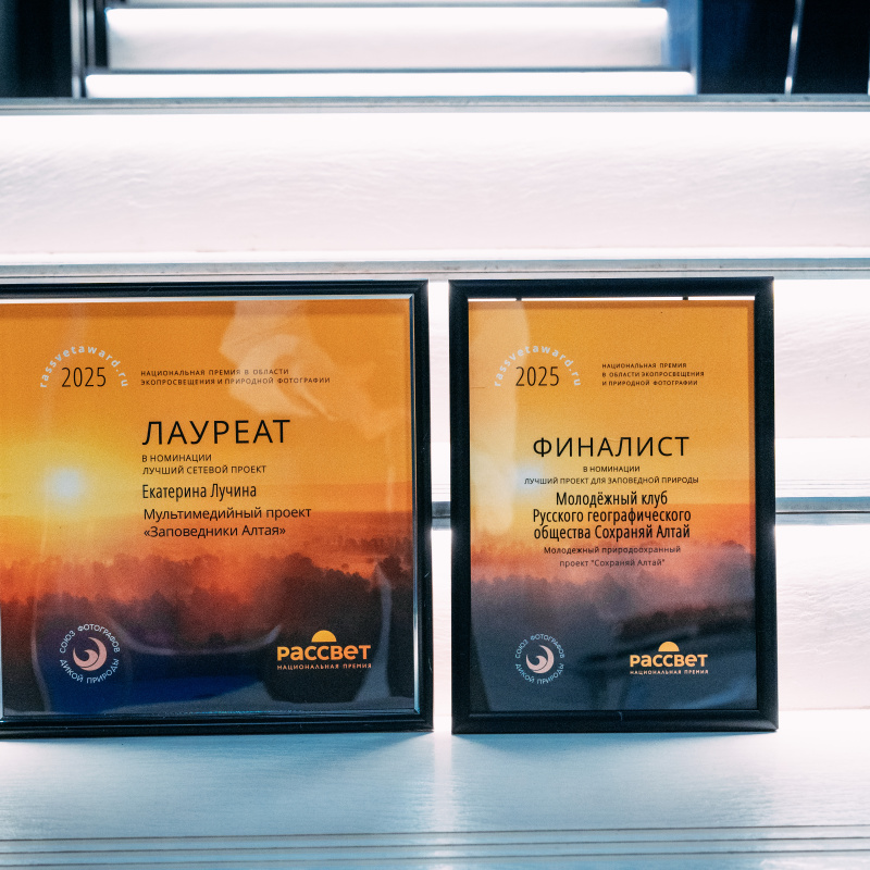 Премия Рассвет