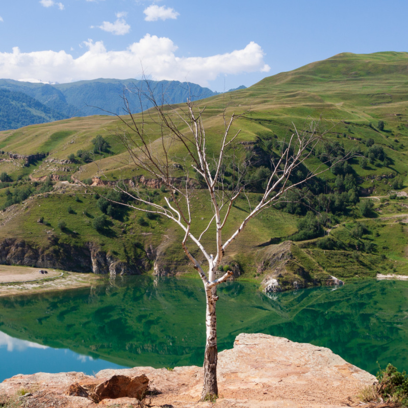 Евгений Мялов, участник фотоконкурса РГО "Самая красивая страна"