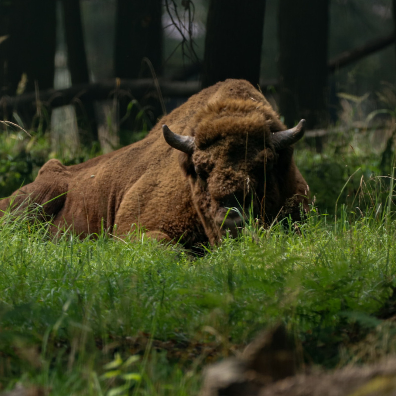 Ангв Егорова, участница фотоконкурса РГО "Самая красивая страна"