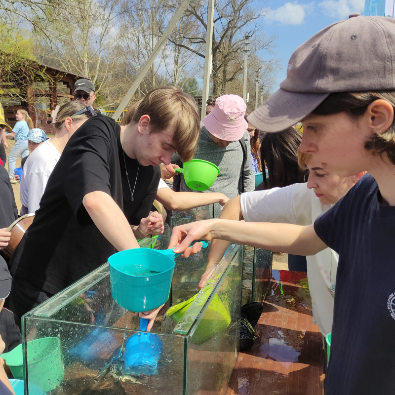 Во время акции "Водорослям – крышка!"