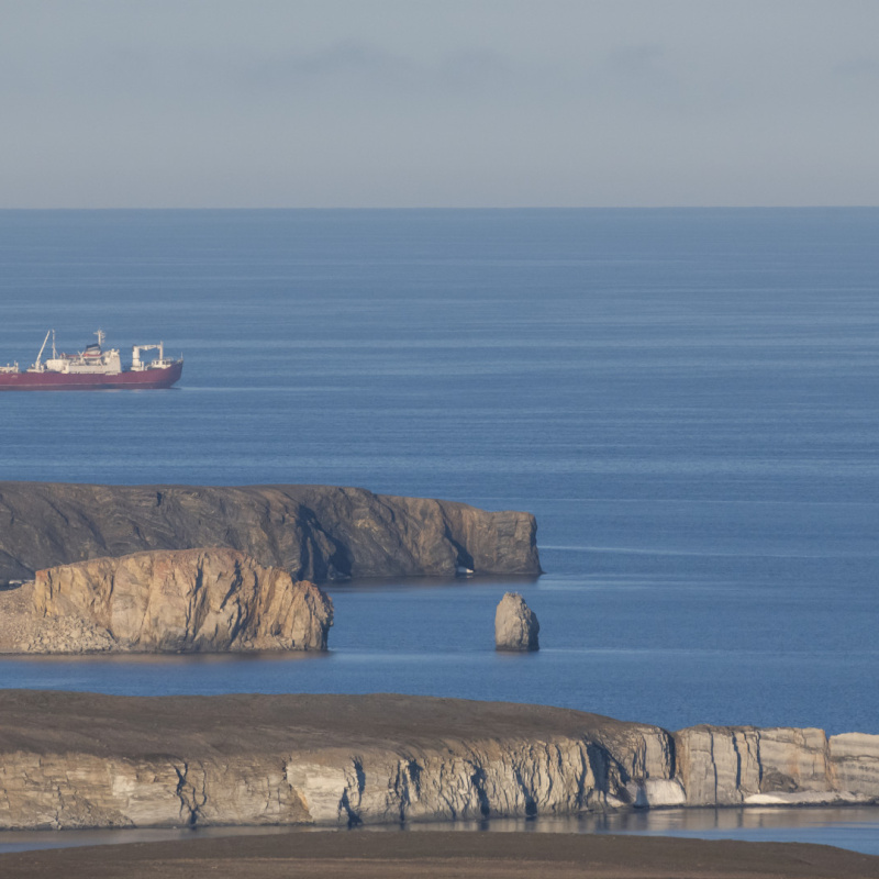 Виталий Новиков Виталий Новиков