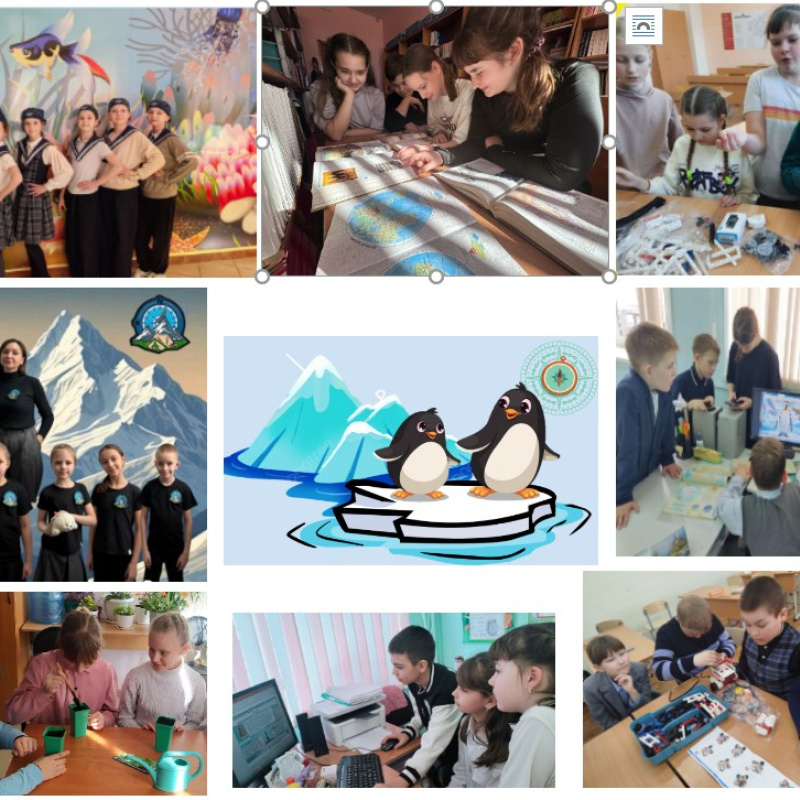 Сетевой проект