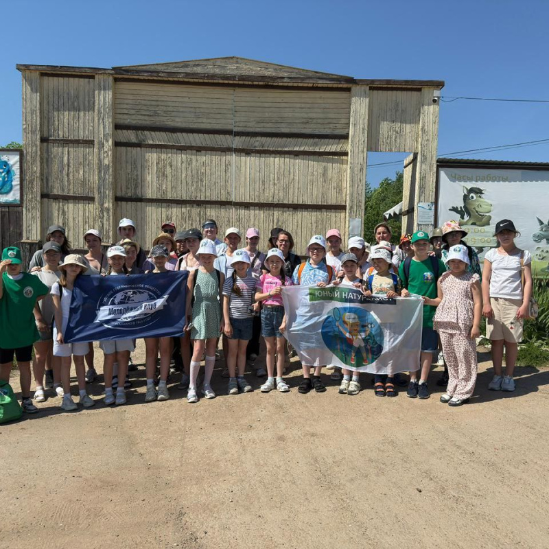 Экскурсия на Страусиную ферму Экскурсия на Страусиную ферму
