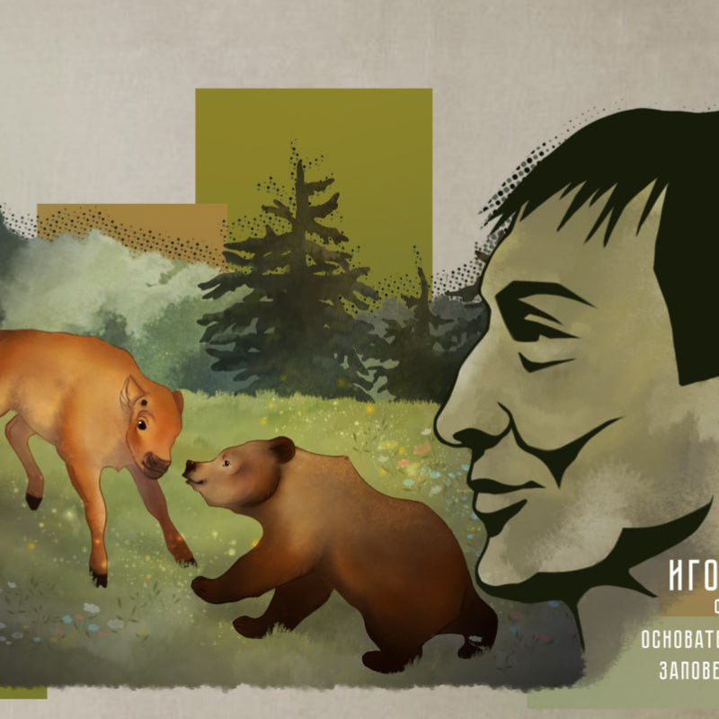 Автор: Александра Лебедева