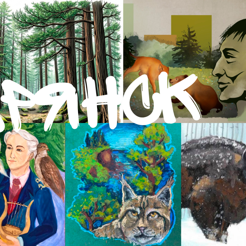 Работы финалистов Работы финалистов