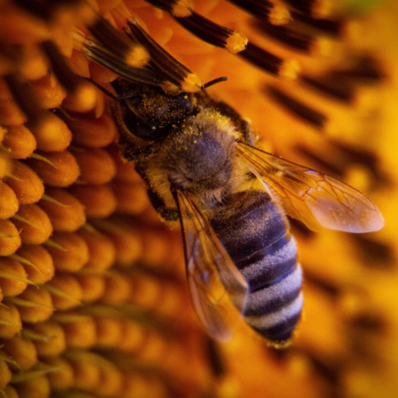 Полина Германова, участник фотоконкурса РГО "Самая красивая страна"
