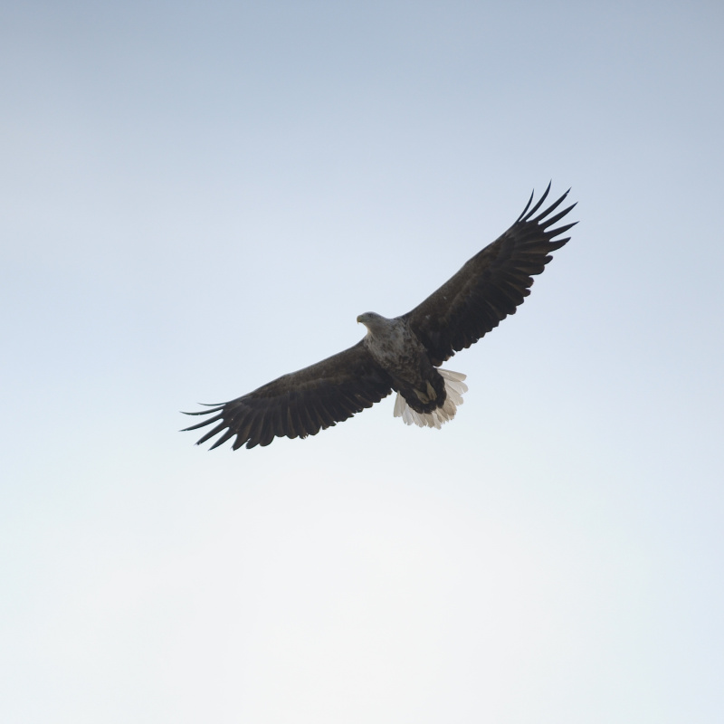 Арсений Арлюков Арсений Арлюков