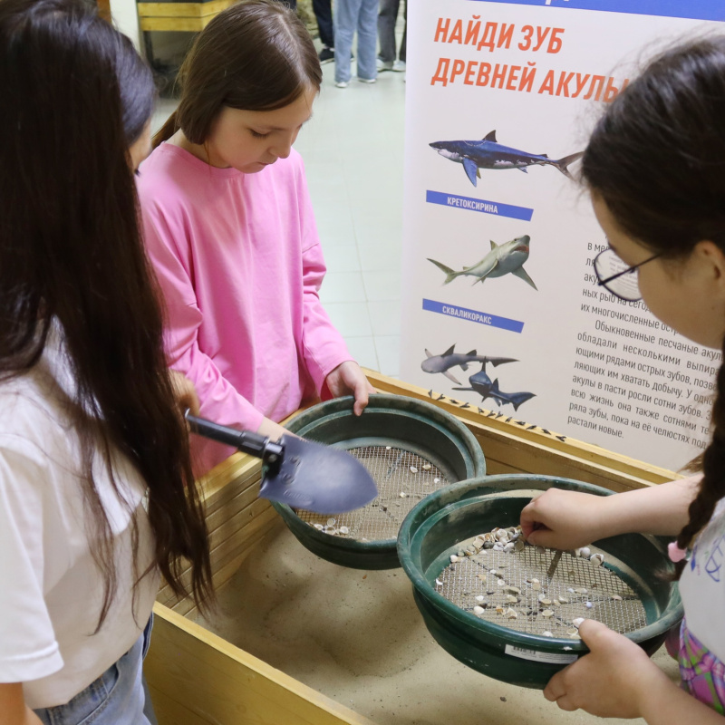 Юные исследователи Летней школы "Югра. Экология. Таланты"