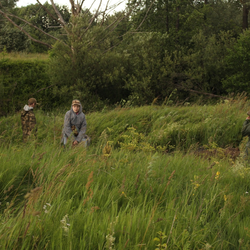 Сбор гербария