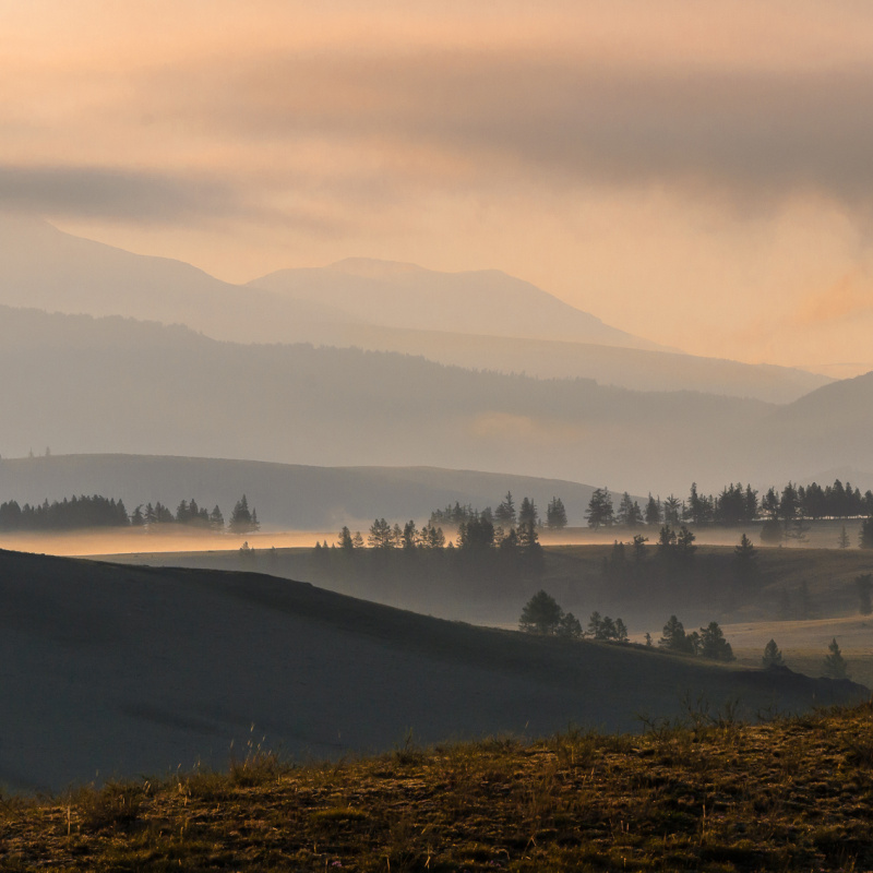Курай на рассвете Курай на рассвете