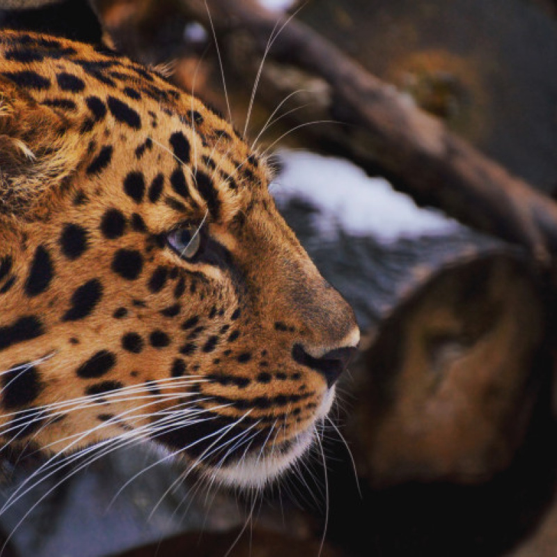 Сергей Соннов, участник фотоконкурса РГО "Самая красивая страна" Сергей Соннов, участник фотоконкурса РГО "Самая красивая страна"