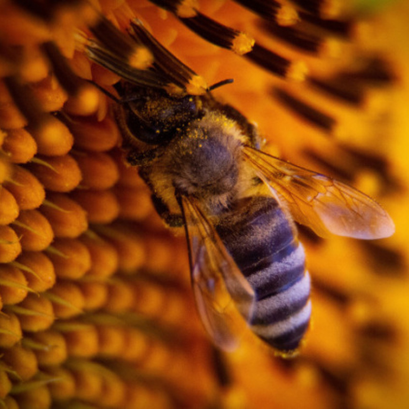 Полина Германова, участник фотоконкурса РГО "Самая красивая страна"