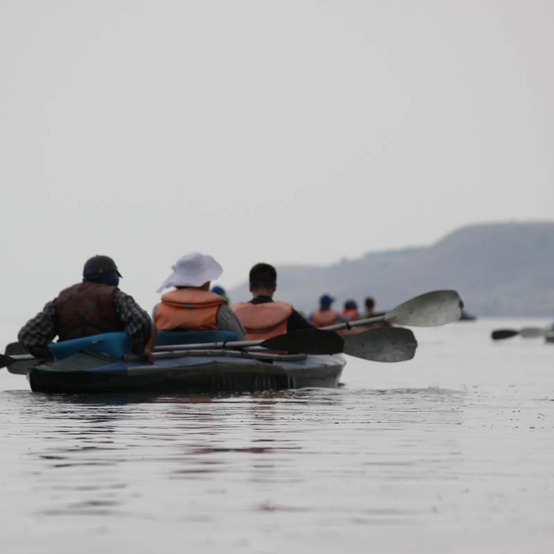 Тематический слёт молодёжных клубов РГО в Волгоградской области Тематический слёт молодёжных клубов РГО в Волгоградской области