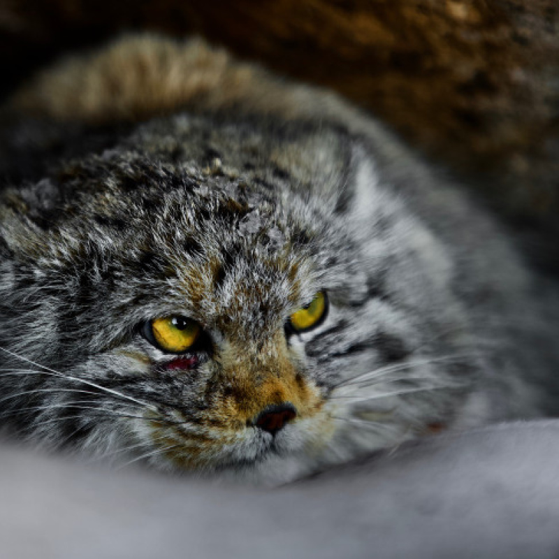 Евгений Мазурин, участник фотоконкурса РГО "Самая красивая страна" Евгений Мазурин, участник фотоконкурса РГО "Самая красивая страна"