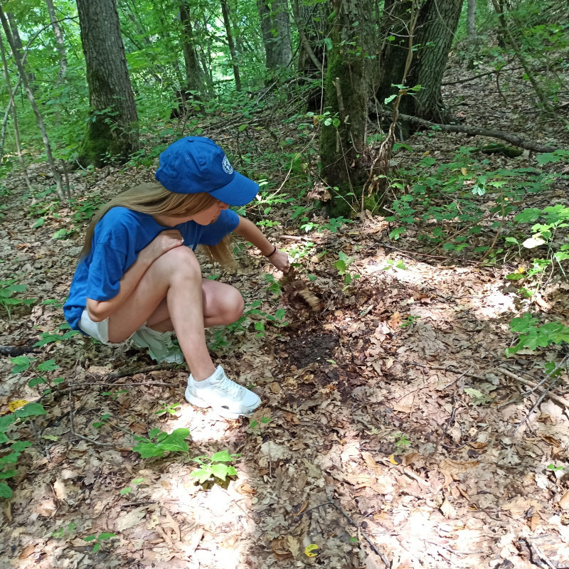 работа в экспедиции