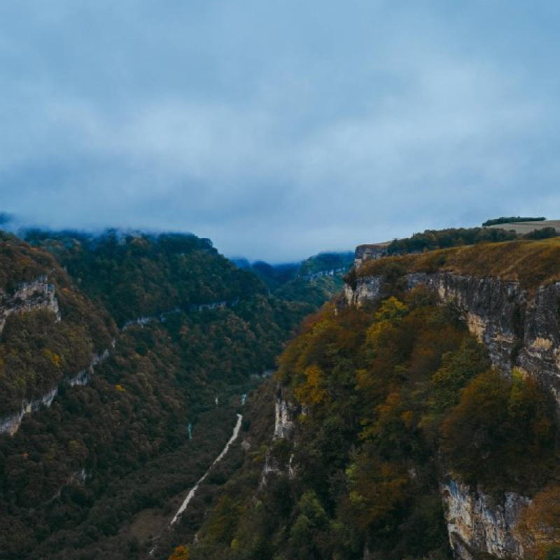 Ислам Шогенов