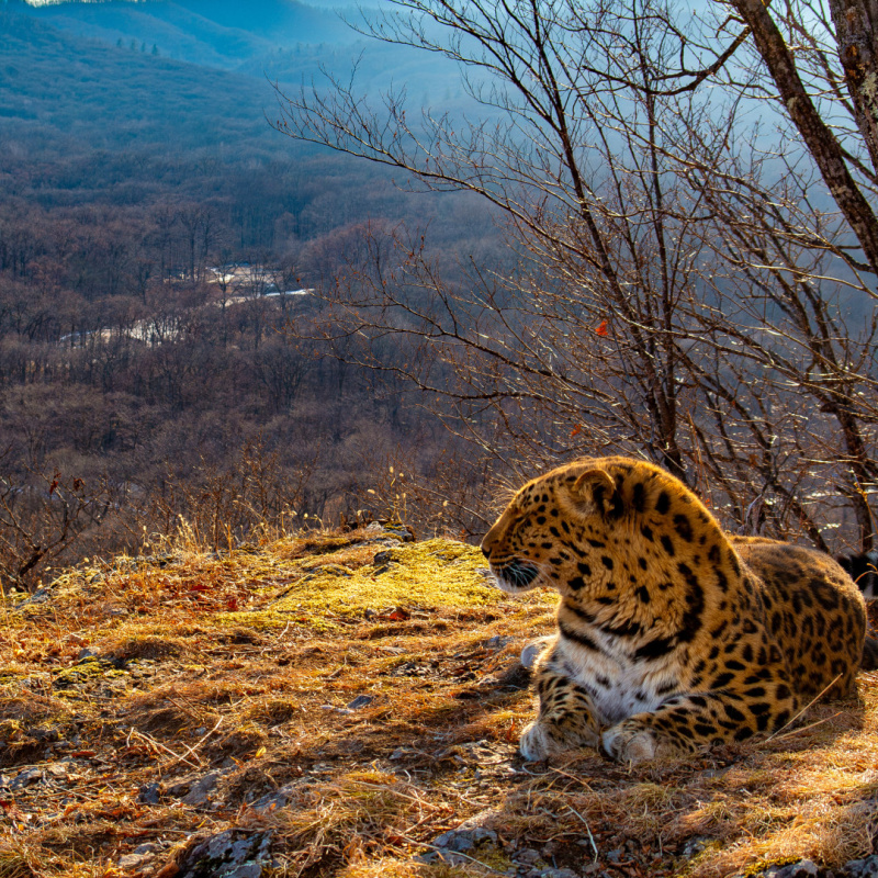 Юрий Смитюк Юрий Смитюк