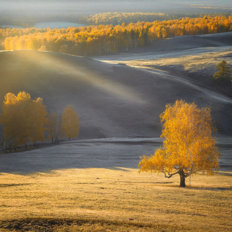 Осенний луч