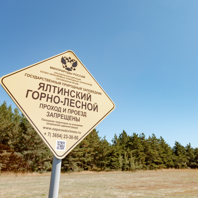 Ксения Гасица