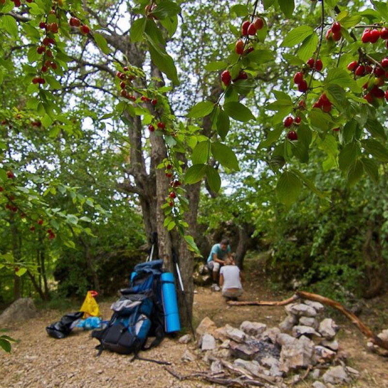 Молодёжный клуб РГО
