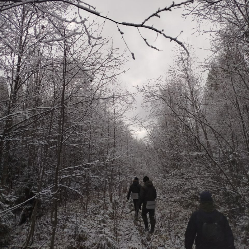 МЦ РГО Кировской области МЦ РГО Кировской области