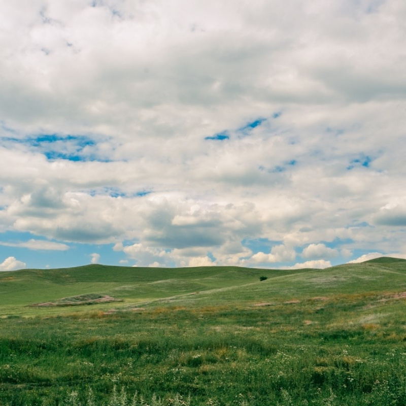 Ислам Шогенов