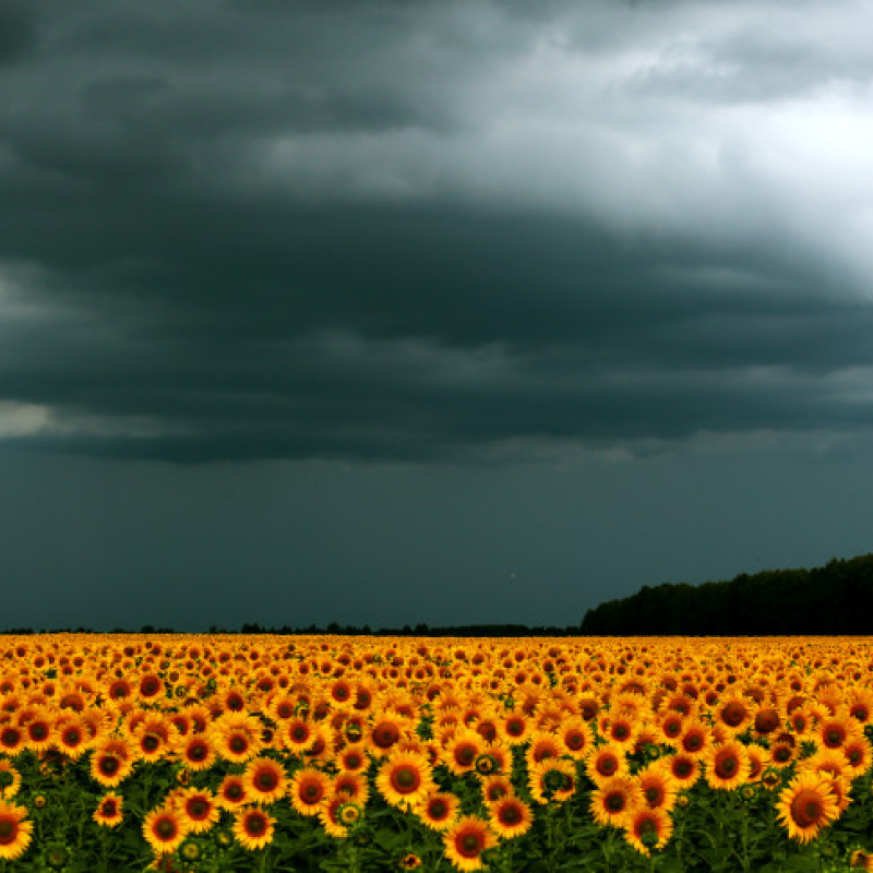 Александр Масенко, участник фотоконкурса РГО "Самая красивая страна" Александр Масенко, участник фотоконкурса РГО "Самая красивая страна"