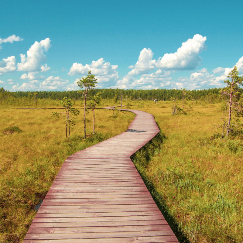 Ольга Мелещенко 