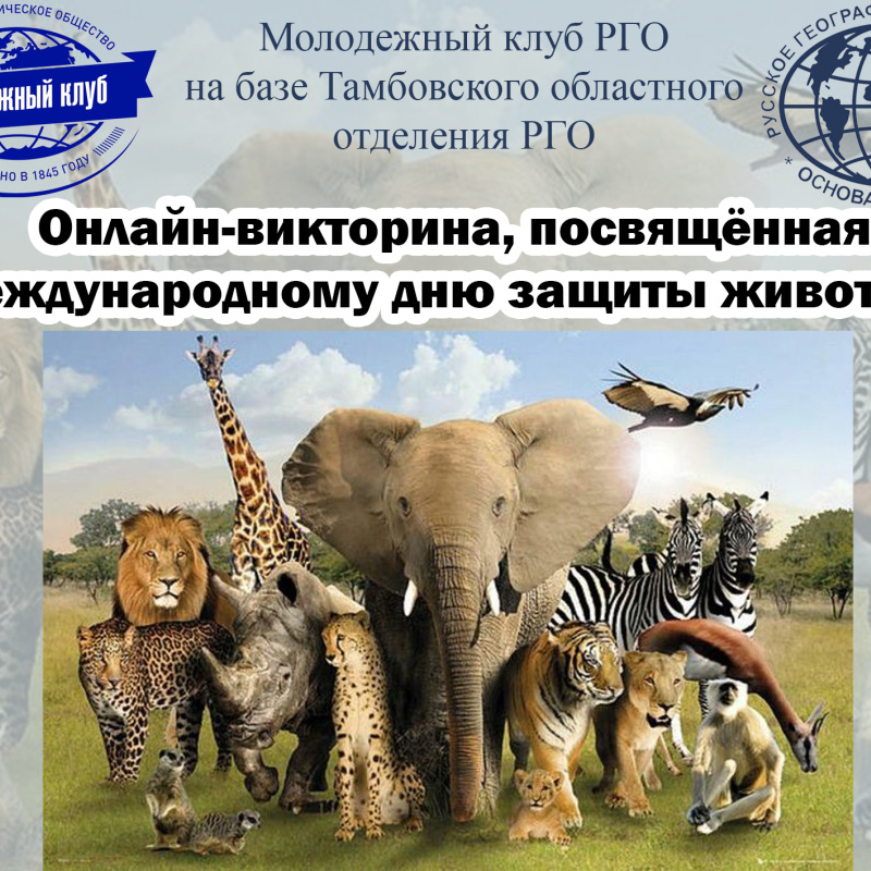 Об итогах онлайн-викторины, посвященной Международному дню защиты животных