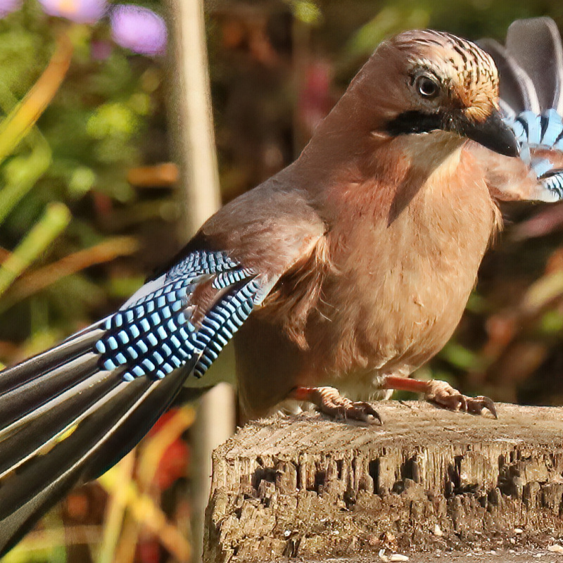 Светлана Кислицына, участница фотоконкурса РГО "Самая красивая страна"