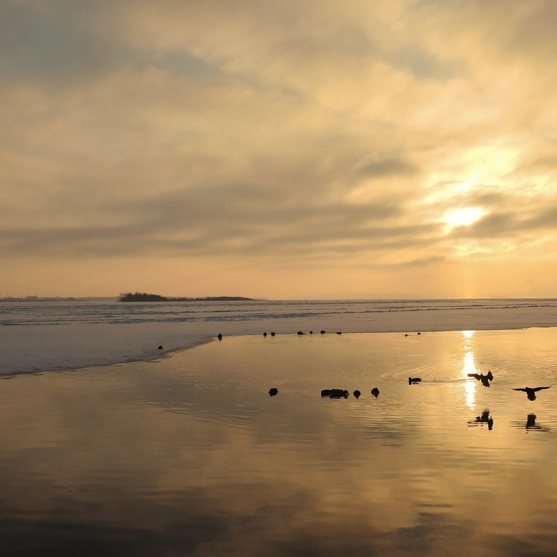 Полынья на Волге